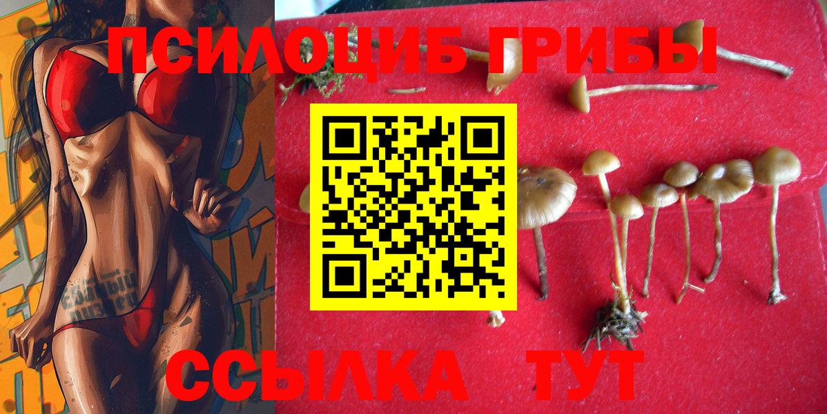 цены   Галлюциногенные грибы Psilocybine cubensis  Дивногорск  Вход с VPN  Галлюциногенные грибы ЛСД 