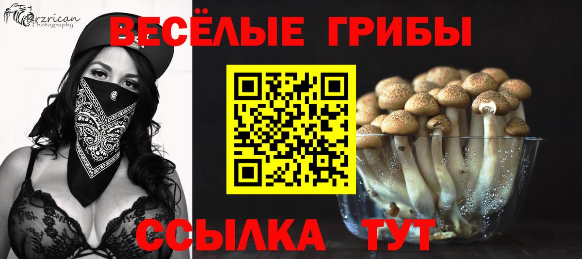 Псилоцибиновые грибы Magic Shrooms Дивногорск